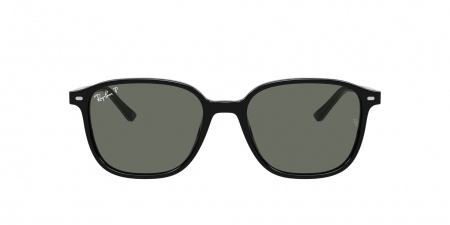 RB2193 Leonard Sunglasses
