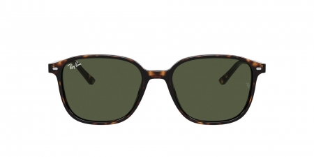 RB2193 Leonard Sunglasses
