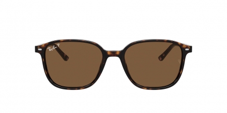 RB2193 Leonard Sunglasses