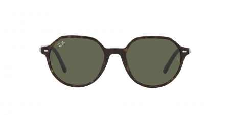 RB2195 Thalia Sunglasses