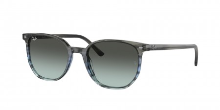 RB2197 Elliot Sunglasses