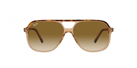 RB2198 Bill Sunglasses