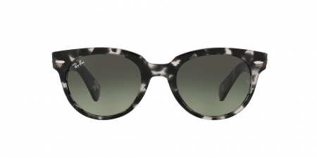RB2199 Orion Sunglasses