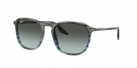 RB2203 Sunglasses