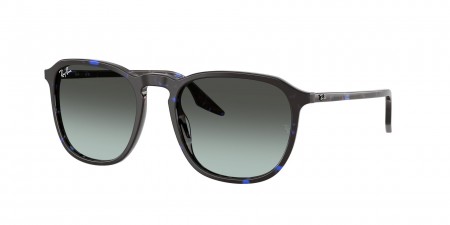 RB2203 Sunglasses