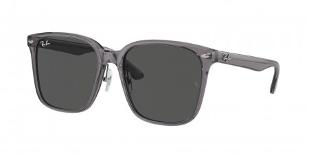 RB2206D Sunglasses