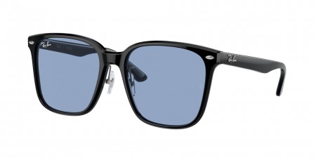 RB2206D Sunglasses