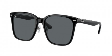 RB2206D Sunglasses