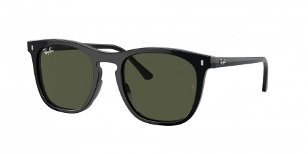 RB2210F Sunglasses