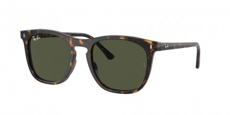 RB2210F Sunglasses