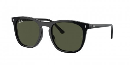 RB2210 Sunglasses