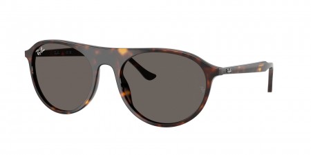 RB2215F Sunglasses