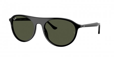 RB2215 Sunglasses