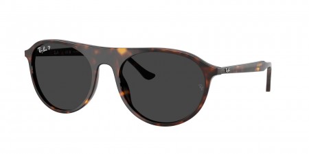 RB2215 Sunglasses