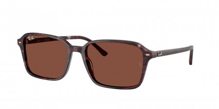 RB2231F Raimond Sunglasses