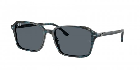RB2231F Raimond Sunglasses