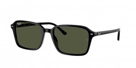 RB2231F Raimond Sunglasses