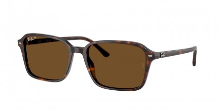 RB2231F Raimond Sunglasses