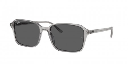RB2231 Raimond Sunglasses