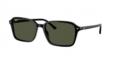RB2231 Raimond Sunglasses
