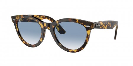 RB2241F Wayfarer Way Sunglasses