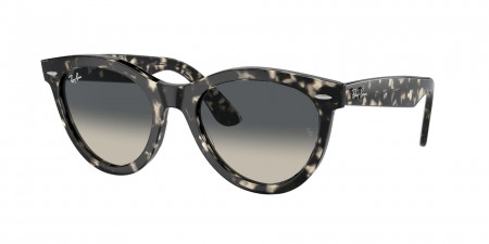 RB2241F Wayfarer Way Sunglasses