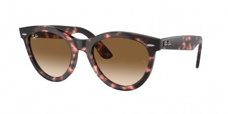 RB2241F Wayfarer Way Sunglasses