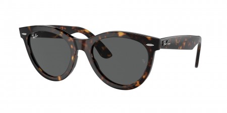 RB2241F Wayfarer Way Sunglasses