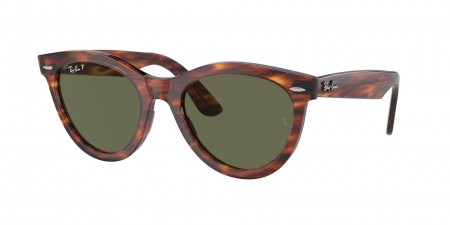 RB2241F Wayfarer Way Sunglasses