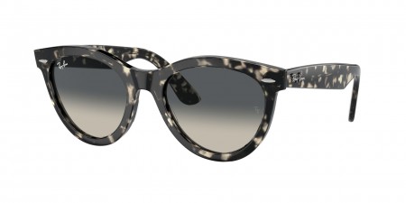 RB2241 Wayfarer Way Sunglasses