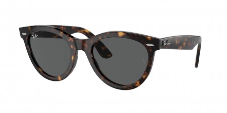 RB2241 Wayfarer Way Sunglasses