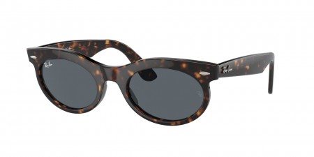 RB2242F Wayfarer Oval Sunglasses