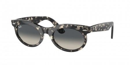 RB2242 Wayfarer Oval Sunglasses