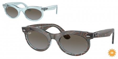 RB2242 Wayfarer Oval Sunglasses