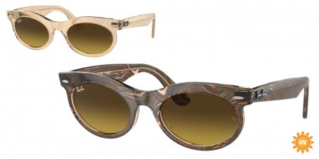 RB2242 Wayfarer Oval Sunglasses