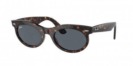 RB2242 Wayfarer Oval Sunglasses