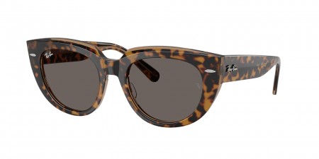 RB2286F Doreen Sunglasses