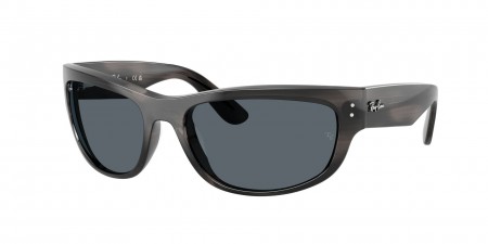 RB2289 Mega Balorama Sunglasses