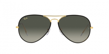 RB3025JM Aviator Full Color Sunglasses
