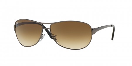RB3342I Warrior (I) Sunglasses