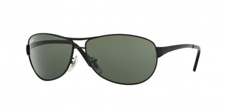 RB3342I Warrior (I) Sunglasses