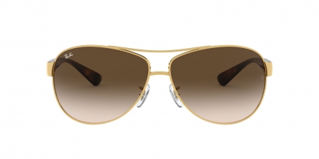 RB3386 Rb3386 Sunglasses