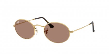 RB3547 Oval Sunglasses