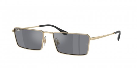 RB3741 Emy Sunglasses