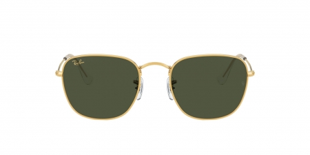 RB3857 Frank Sunglasses