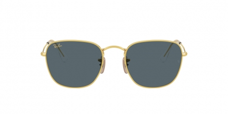 RB3857 Frank Sunglasses