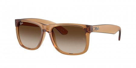 RB4165F Justin Sunglasses