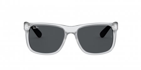 RB4165 Justin Sunglasses