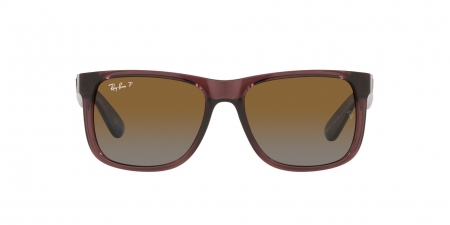 RB4165 Justin Sunglasses