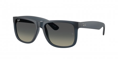 RB4165 Justin Sunglasses